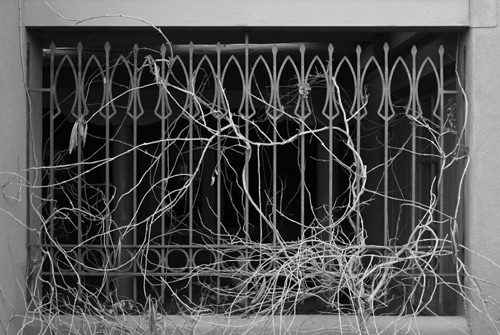Basement Window Santa Fe New Mexico (2536SA).jpg Basement Window Santa Fe New Mexico (2536SA).jpg